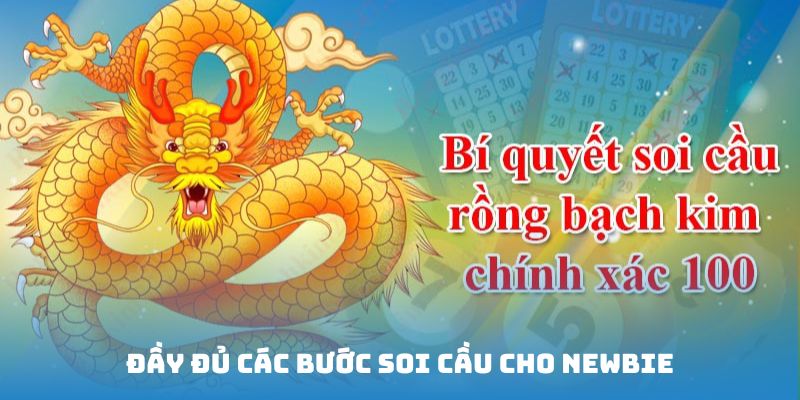 Đầy đủ các bước soi cầu từ A-Z cho newbie