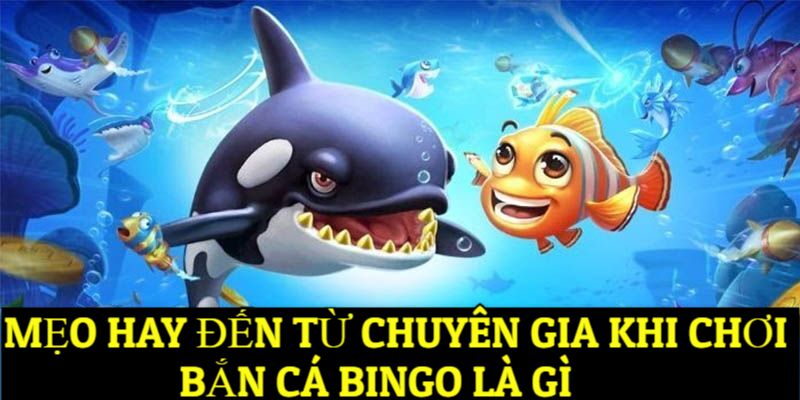 Mẹo hay đến từ chuyên gia khi chơi bắn cá Bingo là gì