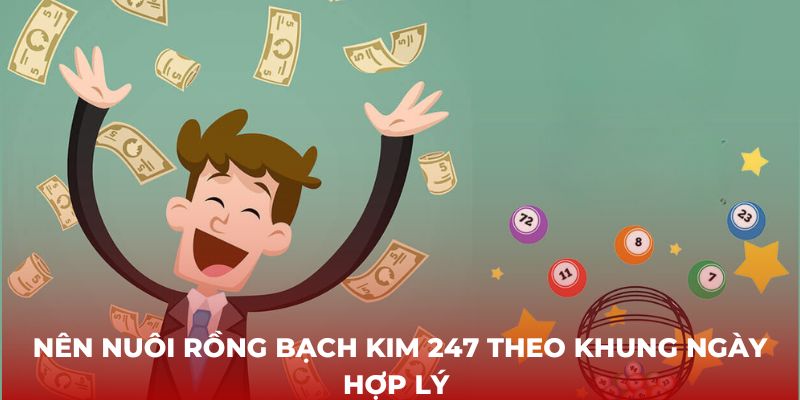 Nên nuôi rồng bạch kim 247 theo khung ngày hợp lý 